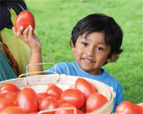 供卵试管联系：移植1个囊胚成功率高吗